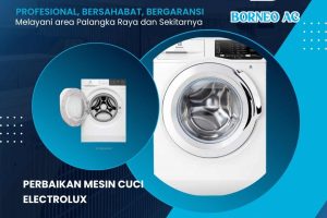 Jasa Service Mesin Cuci Electrolux di Palangkaraya WA 0812 5531 9515